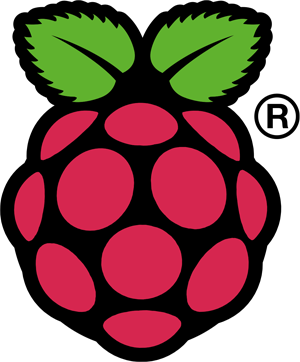 rapsberry pi logo